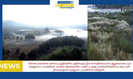 கொடைக்கானல் மலைப்பகுதிகளில் அதிசயமூட்டும் காலநிலையால் குதுகலமடையும் சுற்றுலாப் பயணிகள்.. காலை நேரங்களில் பணி படர்ந்த புல்வெளிகளில் உறை பனி நிலவுவதால் சுற்றுலா பயணிகள் மகிழ்ச்சி…