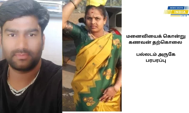 மனைவியைக் கொன்று கணவன் தற்கொலை
