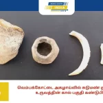 வெம்பக்கோட்டை அகழாய்வில் சுடுமண் குடுவை மனித உருவத்தின் கால் பகுதி கண்டுபிடிப்பு