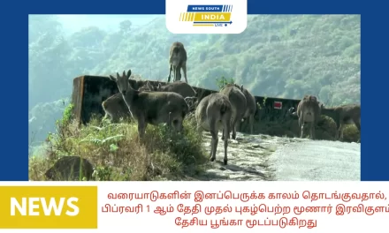 வரையாடுகளின் இனப்பெருக்க காலம் தொடங்குவதால், பிப்ரவரி 1 ஆம் தேதி முதல் புகழ்பெற்ற மூணார் இரவிகுளம் தேசிய பூங்கா மூடப்படுகிறது