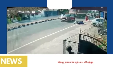 தெரு நாயாள் ஏற்பட்ட விபத்து