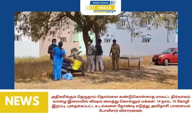 அதிகரிக்கும் தெருநாய் தொல்லை கண்டுகொள்ளாத மாவட்ட நிர்வாகம். வாழை இலையில் விஷம் வைத்து கொல்லும் மக்கள். 14 நாய், 15 கோழி இறப்பு. புதைக்கப்பட்ட உடல்களை தோண்டி எடுத்து அவிநாசி பாளையம் போலீசார் விசாரணை.