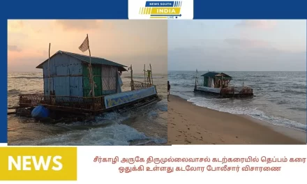 சீர்காழி அருகே திருமுல்லைவாசல் கடற்கரையில் தெப்பம் கரை ஒதுக்கி உள்ளது கடலோர போலீசார் விசாரணை