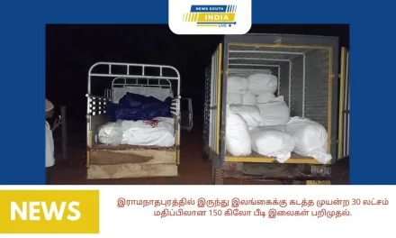 இராமநாதபுரத்தில் இருந்து இலங்கைக்கு கடத்த முயன்ற 30 லட்சம் மதிப்பிலான 150 கிலோ பீடி இலைகள் பறிமுதல்.