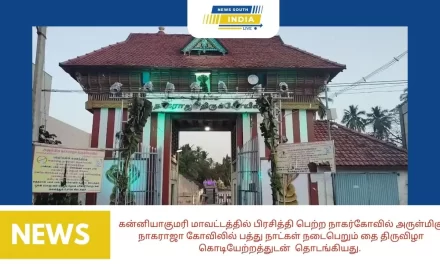 கன்னியாகுமரி மாவட்டத்தில் பிரசித்தி பெற்ற நாகர்கோவில் அருள்மிகு நாகராஜா கோவிலில் பத்து நாட்கள் நடைபெறும் தை திருவிழா கொடியேற்றத்துடன் தொடங்கியது.