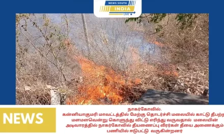 கன்னியாகுமரி மாவட்டத்தில் மேற்கு தொடர்ச்சி மலையில் காட்டு தீபற்றி மளமளவென்று கொளுந்து விட்டு எரிந்து வருவதால் மலையின் அடிவாரத்தில் நாகர்கோவில் தீயணைப்பு வீரர்கள் தீயை அணைக்கும் பணியில் ஈடுபட்டு வருகின்றனர்