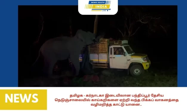 தமிழக – கர்நாடகா இடையிலான பந்திப்பூர் தேசிய நெடுஞ்சாலையில் காய்கறிகளை ஏற்றி வந்த பிக்கப் வாகனத்தை வழிமறித்த காட்டு யானை..