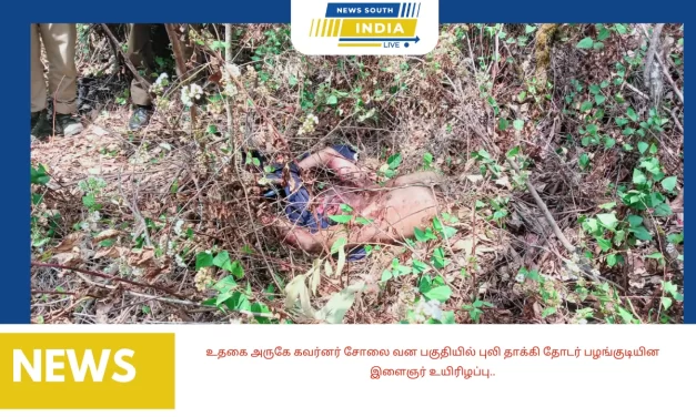 உதகை அருகே கவர்னர் சோலை வன பகுதியில் புலி தாக்கி தோடர் பழங்குடியின இளைஞர் உயிரிழப்பு..