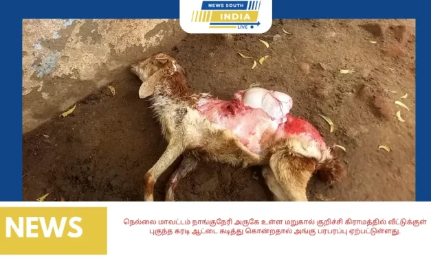 நெல்லை மாவட்டம் நாங்குநேரி அருகே உள்ள மறுகால் குறிச்சி கிராமத்தில் வீட்டுக்குள் புகுந்த கரடி ஆட்டை கடித்து கொன்றதால் அங்கு பரபரப்பு ஏற்பட்டுள்ளது.