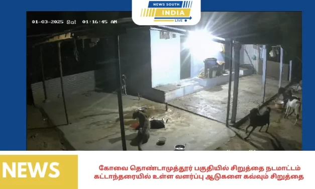 கோவை தொண்டாமுத்தூர் பகுதியில் சிறுத்தை நடமாட்டம் கட்டாந்தரையில் உள்ள வளர்ப்பு ஆடுகளை கவ்வும் சிறுத்தை