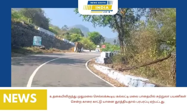 உதகையிலிருந்து முதுமலை செல்லக்கூடிய கல்லட்டி மலை பாதையில் சுற்றுலா பயணிகள் சென்ற காரை காட்டு யானை துரத்தியதால் பரபரப்பு ஏற்பட்டது