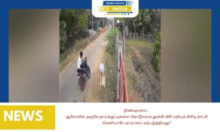 திண்டிவனம்-ஆரோவில் அருகே நாய்க்குட்டிகளை கொடூரமாக தூக்கி வீசி எறியும் சிசிடி காட்சி வெளியாகி பரபரப்பை ஏற்படுத்தியது*