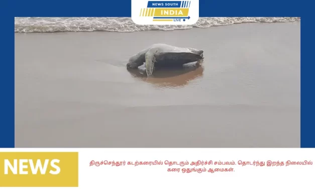 திருச்செந்தூர் கடற்கரையில் தொடரும் அதிர்ச்சி சம்பவம். தொடர்ந்து இறந்த நிலையில் கரை ஒதுங்கும் ஆமைகள்.
