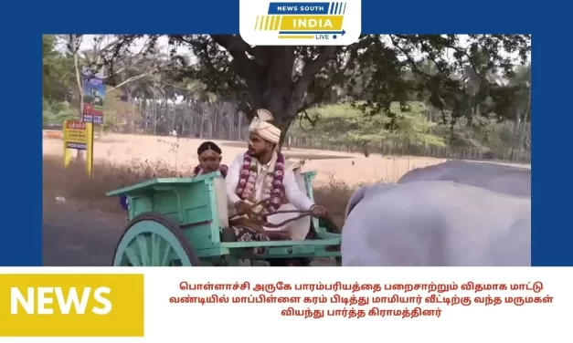 பொள்ளாச்சி அருகே பாரம்பரியத்தை பறைசாற்றும் விதமாக மாட்டு வண்டியில் மாப்பிள்ளை கரம் பிடித்து மாமியார் வீட்டிற்கு வந்த மருமகள்வியந்து பார்த்த கிராமத்தினர்