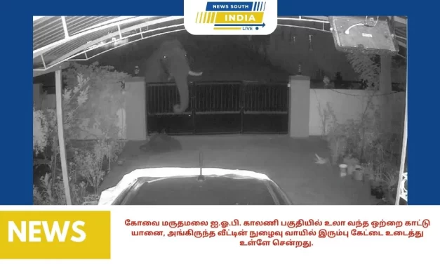 கோவை மருதமலை ஐ.ஓ.பி. காலணி பகுதியில் உலா வந்த ஒற்றை காட்டு யானை, அங்கிருந்த வீட்டின் நுழைவு வாயில் இரும்பு கேட்டை உடைத்து உள்ளே சென்றது.