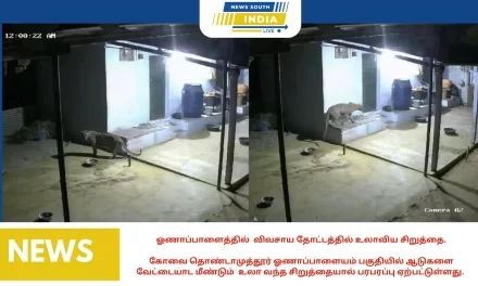 ஓணாப்பாளைத்தில் விவசாய தோட்டத்தில் உலாவிய சிறுத்தை.