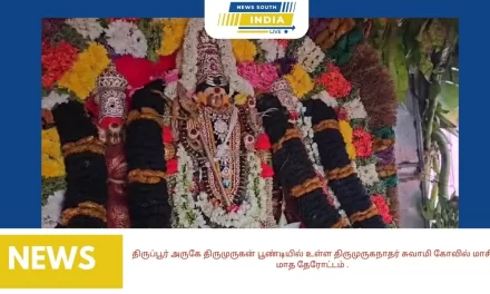 திருப்பூர் அருகே திருமுருகன் பூண்டியில் உள்ள திருமுருகநாதர் சுவாமி கோவில் மாசி மாத தேரோட்டம் .