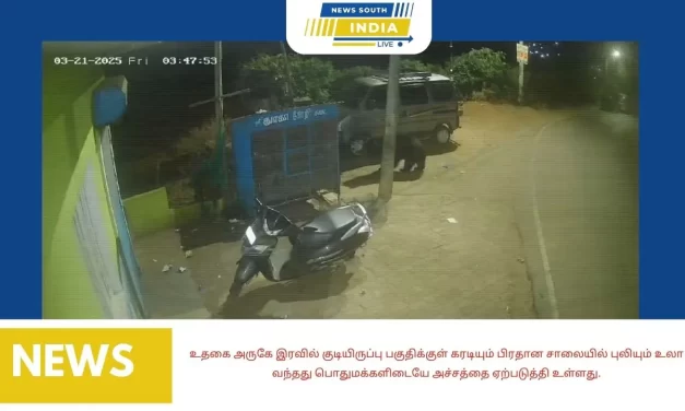 உதகை அருகே இரவில் குடியிருப்பு பகுதிக்குள் கரடியும் பிரதான சாலையில் புலியும் உலா வந்தது பொதுமக்களிடையே அச்சத்தை ஏற்படுத்தி உள்ளது.