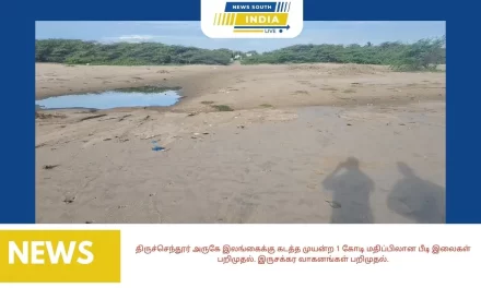 திருச்செந்தூர் அருகே இலங்கைக்கு கடத்த முயன்ற 1 கோடி மதிப்பிலான பீடி இலைகள் பறிமுதல். இருசக்கர வாகனங்கள் பறிமுதல்.