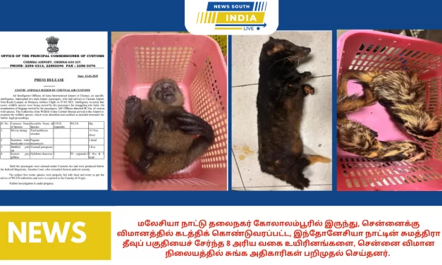 மலேசியா நாட்டு தலைநகர் கோலாலம்பூரில் இருந்து, சென்னைக்கு விமானத்தில் கடத்திக் கொண்டுவரப்பட்ட, இந்தோனேசியா நாட்டின் சுமத்திரா தீவுப் பகுதியைச் சேர்ந்த 8 அரிய வகை உயிரினங்களை, சென்னை விமான நிலையத்தில் சுங்க அதிகாரிகள் பறிமுதல் செய்தனர்.