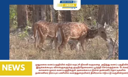 முதுமலை வனப்பகுதியில் கடும் வறட்சி நிலவி வருவதை அடுத்து வனப் பகுதியில் இருக்கக்கூடிய விலங்குகளுக்கு குடிநீர்தேவையை பூர்த்தி செய்வதற்காக டேங்கர் வாகனம் மூலம் வனப்பகுதிக்குள் அமைக்கப்பட்டுள்ள தண்ணீர் தொட்டிகளில் தண்ணீரை நிரப்பும் பணியில் வனத்துறையினர் தீவிரமாக ஈடுபட்டு வருகின்றனர் .