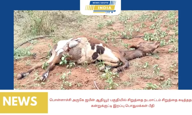பொள்ளாச்சி அருகே ஜமீன் ஆதியூர் பகுதியில் சிறுத்தை நடமாட்டம் சிறுத்தை கடித்ததால் கன்றுக்குட்டி இறப்புபொதுமக்கள் பீதி