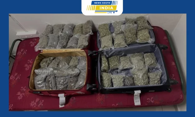 பேங்காக்கிலிருந்து திருச்சி விமான நிலையம் வந்த பயணி ஒருவர் கடத்தி வந்த 9.9 கிலோ எடையுள்ள ஹைட்ரோபோனிக்ஸ் வகை கஞ்சா