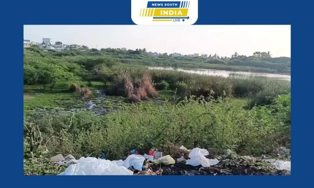 விராலிமலையில் பயன்பாடற்று கிடக்கும் அம்மன் (மலன்) குளம் நடைபாதையை சீரமைத்து பயன்பாட்டுக்கு கொண்டு வர நடைபயிற்சியாளர்கள் வலியுறுத்தி வருகின்றனர்