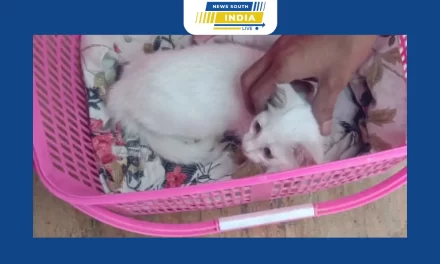 வெள்ளை நிறத்தொரு பூனை – அதன் உயிரை காத்திட்டர் வீரர்.