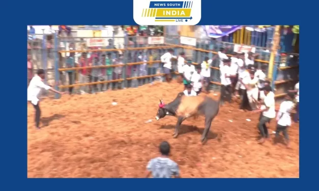 மணப்பாறை அருகே கே.உடையாபட்டியில் ஜல்லிக்கட்டு விழா.வாடிவாசலில் சீறிப்பாய்ந்துவரும் காளைகள்.