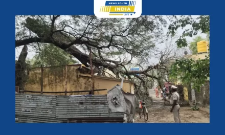 பொன்னேரி அருகே நேற்று பலத்த காற்றுடன் பெய்த மழை. பலத்த காற்றின் போது மரம் முறிந்து விழுந்ததில் வீடு சேதம். வீட்டில் இருந்தவர்கள் மூவர் அதிர்ஷ்டவசமாக உயிர் தப்பினர்.