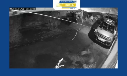 கேரள மாநிலம் இடுக்கி மாவட்டத்தில் வளர்ப்பு நாயை வேட்டையாடிய சிறுத்தை புலி சிசிடிவி காட்சிகள் வெளியாகி பரபரப்பு