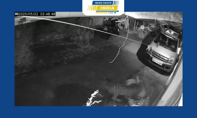 கேரள மாநிலம் இடுக்கி மாவட்டத்தில் வளர்ப்பு நாயை வேட்டையாடிய சிறுத்தை புலி சிசிடிவி காட்சிகள் வெளியாகி பரபரப்பு