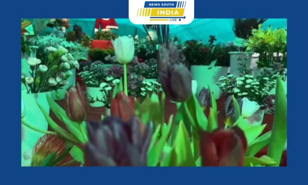 மாவட்ட சுற்றுலாத் துறையால் ஏற்பாடு செய்யப்பட்ட நான்காவது மூணார் மலர் கண்காட்சி தொடங்கியது.