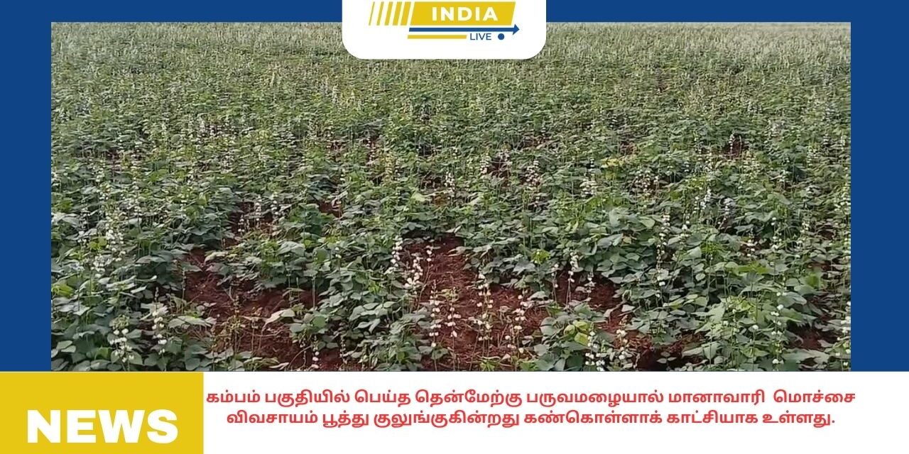 கேரள மாநிலம் கோழிக்கோடு கண்ணூர் காசர்கோடு வயநாடு உள்ளிட்ட மாவட்டங்களில் கன மழை