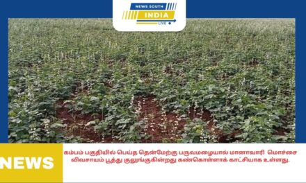 கேரள மாநிலம் கோழிக்கோடு கண்ணூர் காசர்கோடு வயநாடு உள்ளிட்ட மாவட்டங்களில் கன மழை