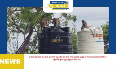 உங்களுக்கு மட்டும் தானா குடிநீர் டேங்க் எங்களுக்கு இல்லையா தண்ணீரில் குளித்தும் குடித்தும் சேட்டை
