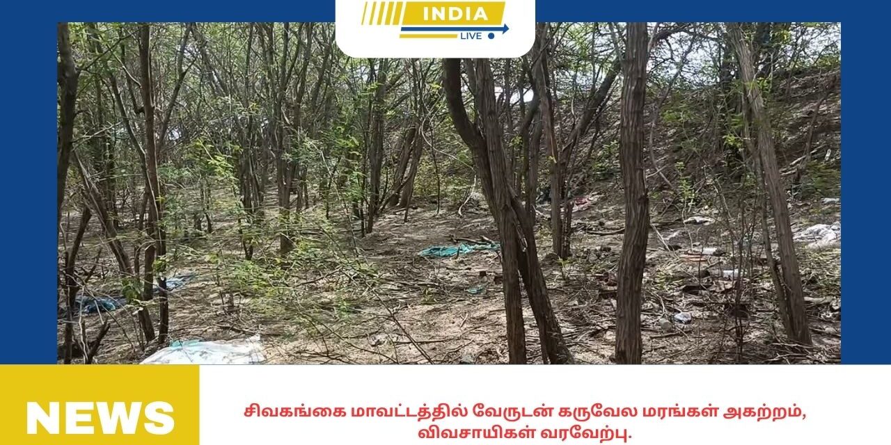 சிவகங்கை மாவட்டத்தில் வேருடன் கருவேல மரங்கள் அகற்றம், விவசாயிகள் வரவேற்பு.