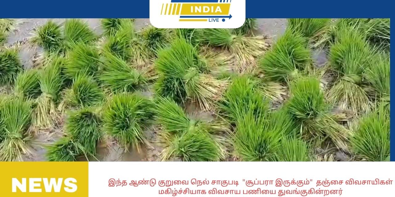 இந்த ஆண்டு குறுவை நெல் சாகுபடி “சூப்பரா இருக்கும்” தஞ்சை விவசாயிகள் மகிழ்ச்சியாக விவசாய பணியை துவங்குகின்றனர்