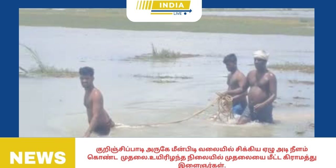 குறிஞ்சிப்பாடி அருகே மீன்பிடி வலையில் சிக்கிய ஏழு அடி நீளம் கொண்ட முதலை