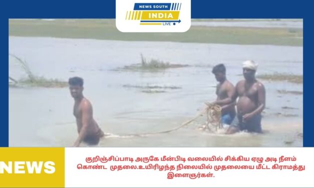 குறிஞ்சிப்பாடி அருகே மீன்பிடி வலையில் சிக்கிய ஏழு அடி நீளம் கொண்ட முதலை