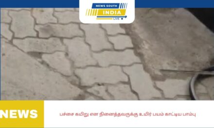 பச்சை கயிறு என நினைத்தவருக்கு உயிர் பயம் காட்டிய பாம்பு