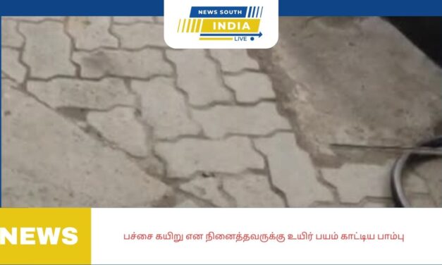 பச்சை கயிறு என நினைத்தவருக்கு உயிர் பயம் காட்டிய பாம்பு