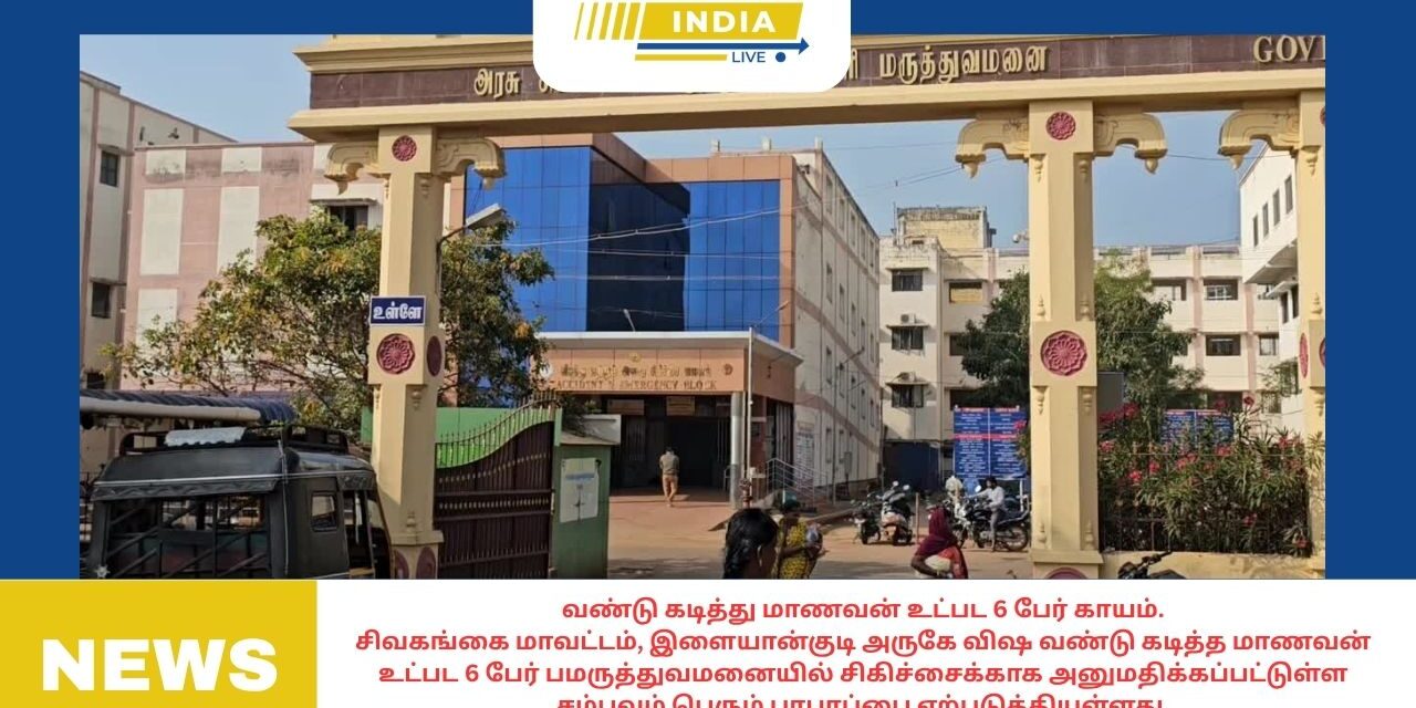 வண்டு கடித்து மாணவன் உட்பட 6 பேர் காயம்.