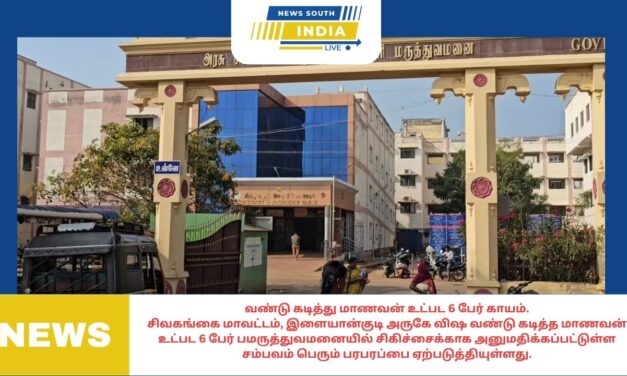 வண்டு கடித்து மாணவன் உட்பட 6 பேர் காயம்.