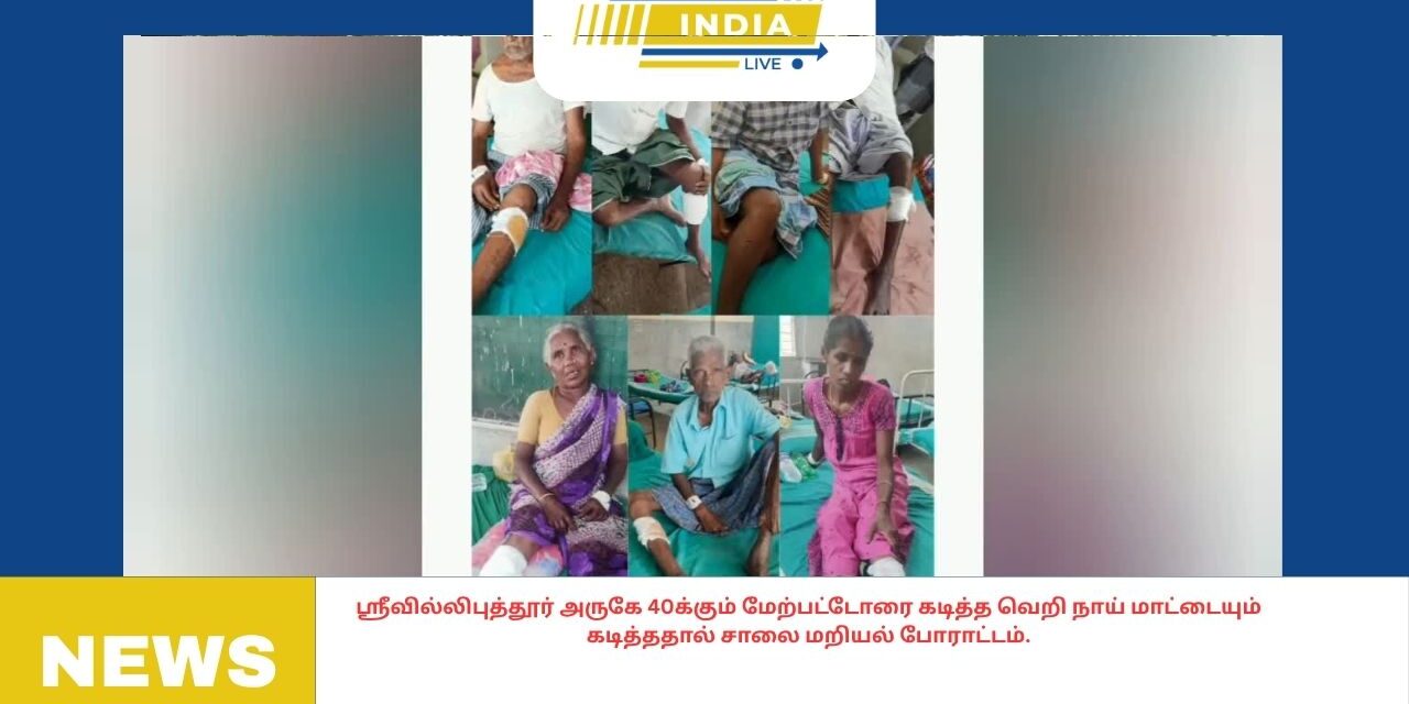 ஸ்ரீவில்லிபுத்தூர் அருகே 40க்கும் மேற்பட்டோரை கடித்த வெறி நாய் மாட்டையும் கடித்ததால் சாலை மறியல் போராட்டம்.