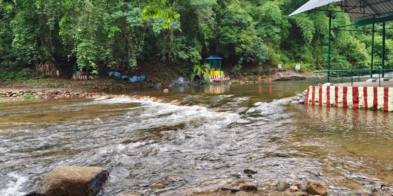 கன்னியாகுமரிகுமரி மாவட்டத்தில் மேற்கு தொடர்ச்சி மலை பகுதிகளில் நேற்று மாலை முதல் மழை நின்றுள்ளதால் காளிகேசம் வன சுற்றுலா தலத்திற்கு சுற்றுலா பயணிகள் செல்ல விதிக்கப்பட்ட தடையை இன்று முதல் மாவட்ட வனத்துறை நீக்கியுள்ளது