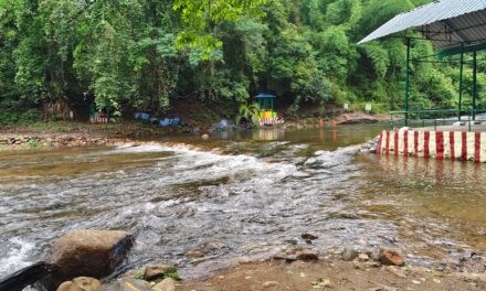 கன்னியாகுமரிகுமரி மாவட்டத்தில் மேற்கு தொடர்ச்சி மலை பகுதிகளில் நேற்று மாலை முதல் மழை நின்றுள்ளதால் காளிகேசம் வன சுற்றுலா தலத்திற்கு சுற்றுலா பயணிகள் செல்ல விதிக்கப்பட்ட தடையை இன்று முதல் மாவட்ட வனத்துறை நீக்கியுள்ளது