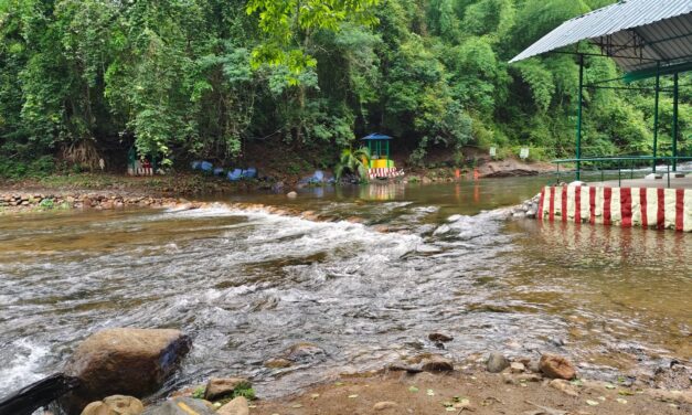 கன்னியாகுமரிகுமரி மாவட்டத்தில் மேற்கு தொடர்ச்சி மலை பகுதிகளில் நேற்று மாலை முதல் மழை நின்றுள்ளதால் காளிகேசம் வன சுற்றுலா தலத்திற்கு சுற்றுலா பயணிகள் செல்ல விதிக்கப்பட்ட தடையை இன்று முதல் மாவட்ட வனத்துறை நீக்கியுள்ளது