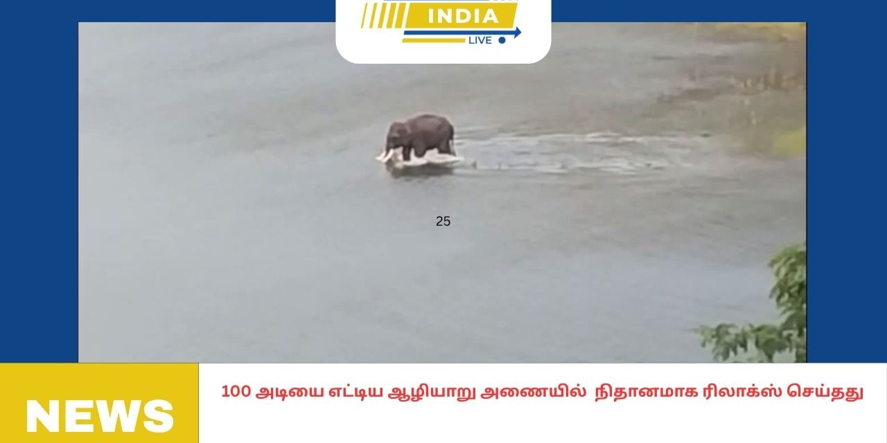 100 அடியை எட்டிய ஆழியாறு அணையில் நிதானமாக ரிலாக்ஸ் செய்தது